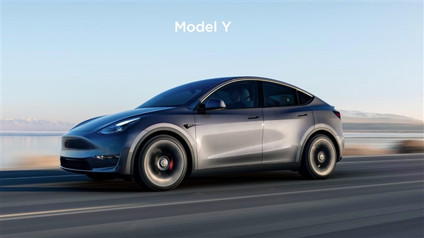 model Y modelo Y