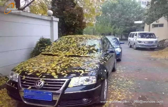 Long time parking (2) Estacionamiento desde hace mucho tiempo (2)