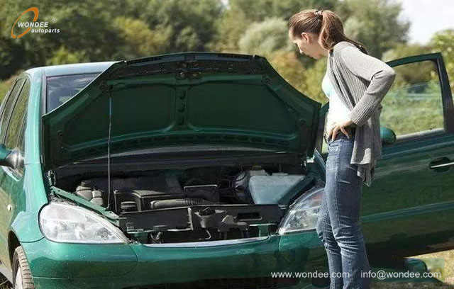 abnormal noise (1) ruido anormal (1)