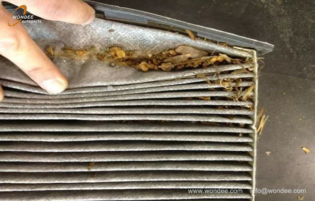 aire caliente en un autom&oacute;vil (5)