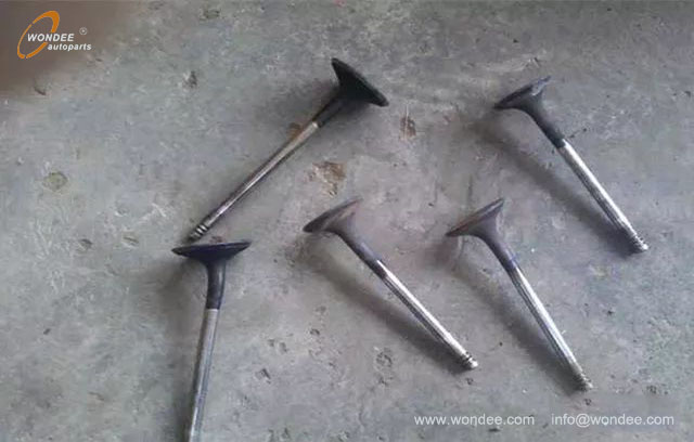 correa de sincronizaci&oacute;n (3)