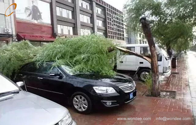 Veh&iacute;culos de estacionamiento (3)