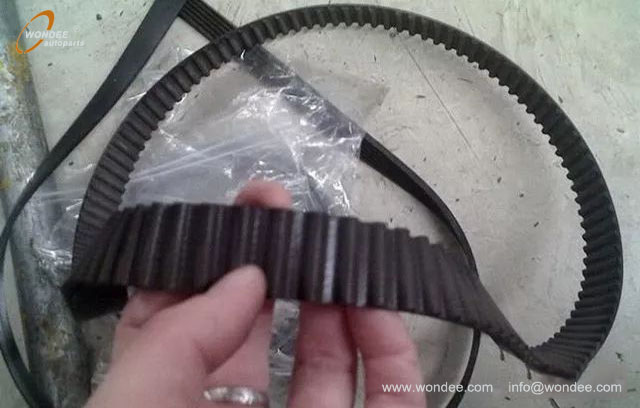 correa de sincronizaci&oacute;n (4)