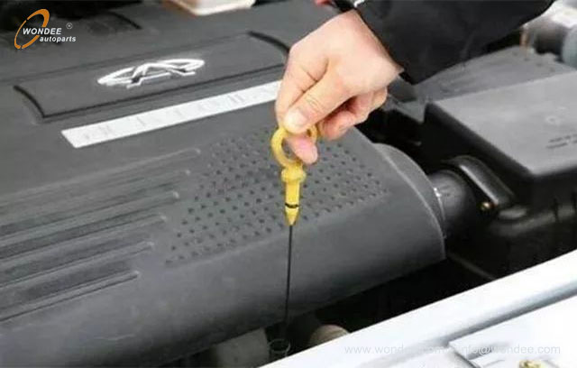 Aceite del motor (4)