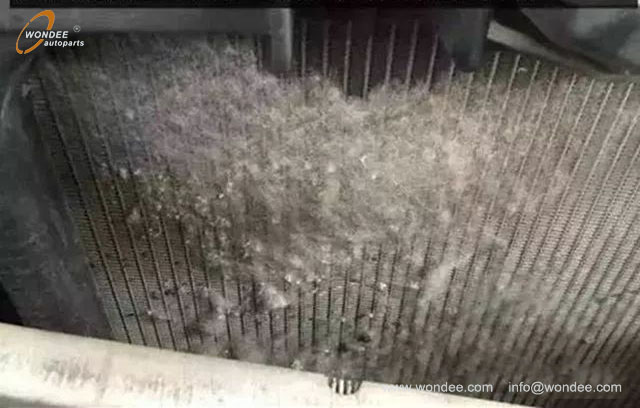 Water tank protective net (2) Red de protección del tanque de agua (2)