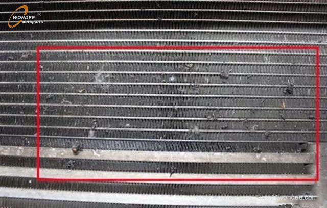 Water tank protective net (3) Red de protección del tanque de agua (3)