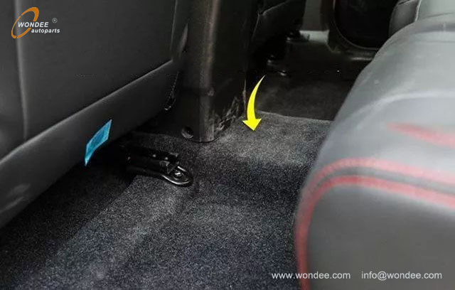 protrusion (3) Profusión (3)