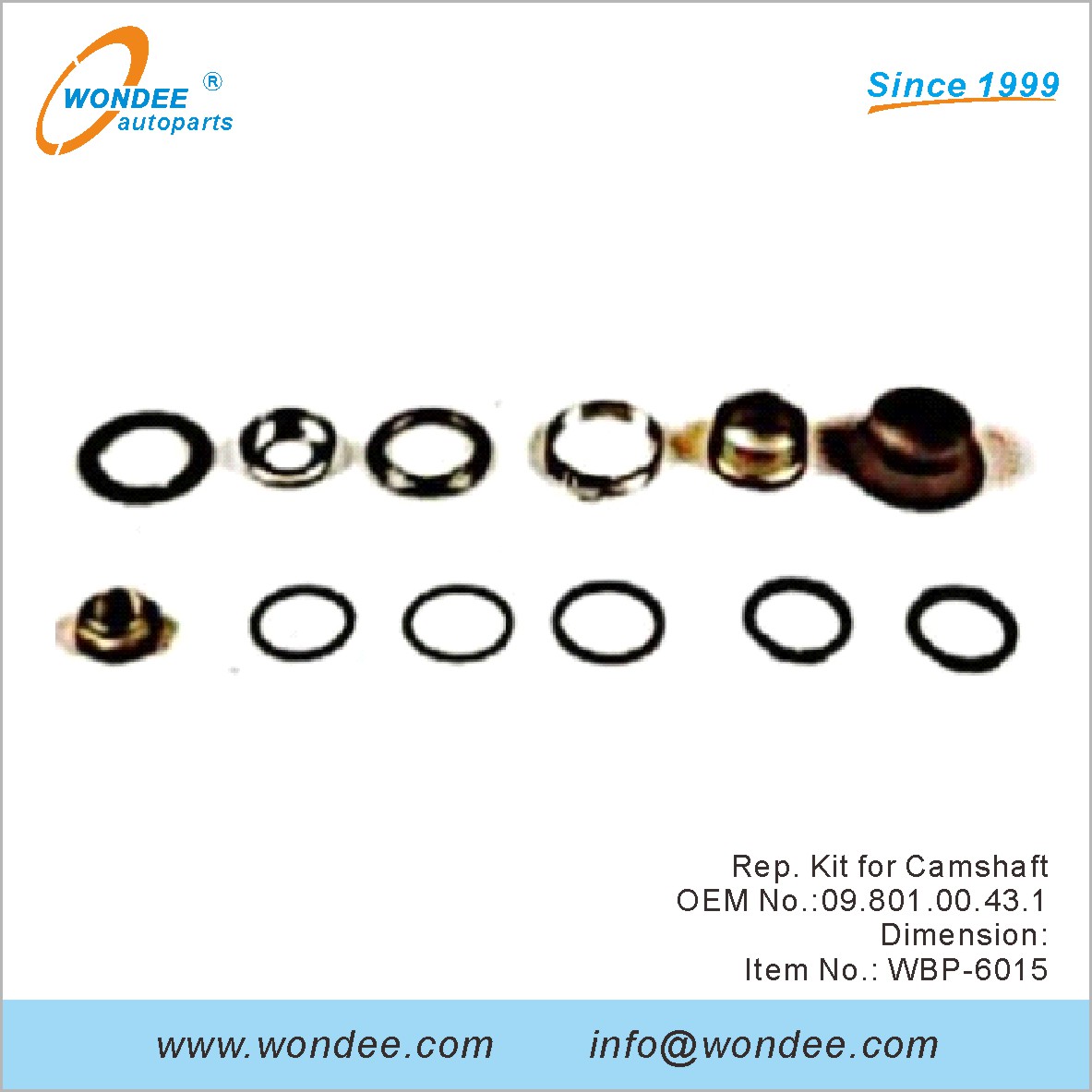 Kit de representante para Camshaft OEM 0980100431 para BPW de Wondee