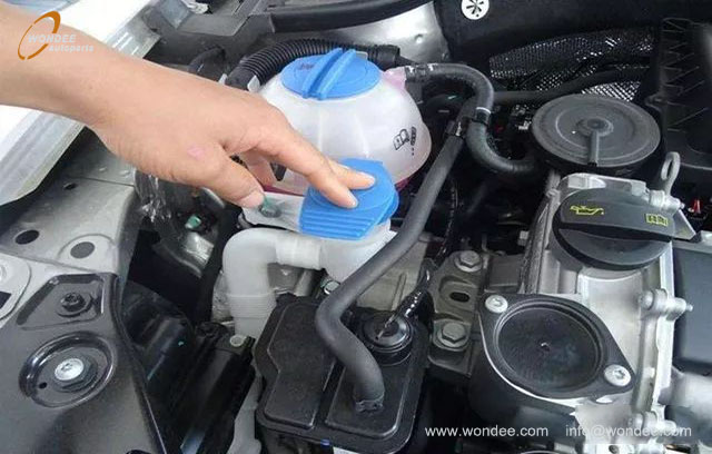 maintaining (3) manteniendo (3)