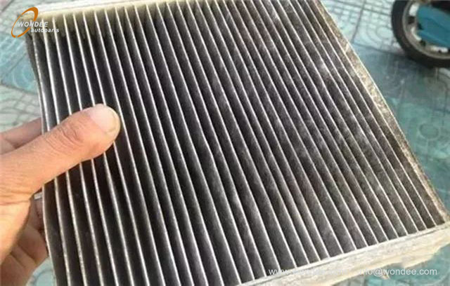 Verificación de verano (2)