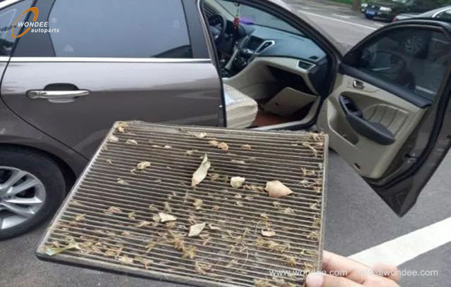 Air conditioning odor (2) Olor a aire acondicionado (2)