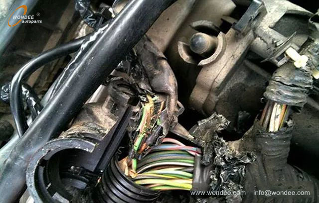 Usar coche en verano (4)