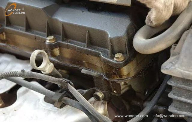 Fugas del motor Aceite (1)