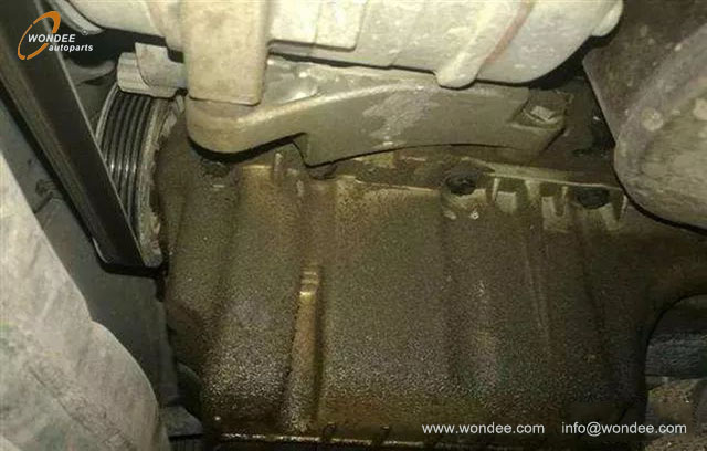 Fugas del motor Aceite (2)